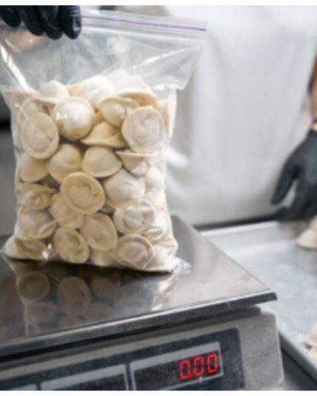 Frozen food bags